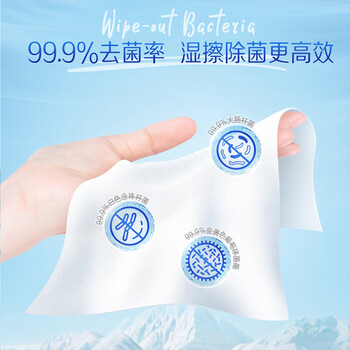 得宝（TEMPO）一博同款 纯水湿厕纸 80片*1包 深澈水感私密呵护 可冲散 湿纸巾 