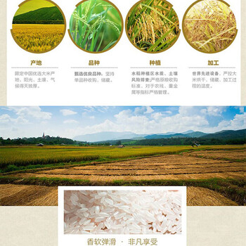 立白强效新金桔【洗洁精1.5kg*2瓶】+【御品稻花香5kg】