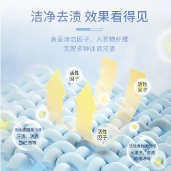 大公鸡管家（CHANTE CLAIR）衣领净500ml（白色瓶）喷雾型 衣物领口袖口去污去黄清洁剂*2瓶