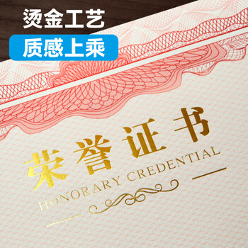 DSB A3荣誉证书内芯6k空白奖状获奖内页可打印表扬信优秀员工荣誉奖状6开(小A3)内芯-10张装 050816 DSB A3荣誉证书内芯6k空白奖状获奖内页可打印表扬信优秀员工荣誉奖状6开(小A3)内芯-10张装 050816