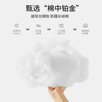 新亚纯棉成人洗脸毛巾3条 全棉超柔吸水大毛巾成人面巾 30*60cm运动