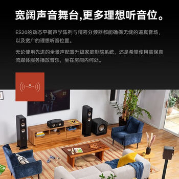 普乐之声（polk）ES20 音响 家庭影院 hifi书架音箱 Hi-res高解析度无源音箱 木质2.0发烧音箱 黑色