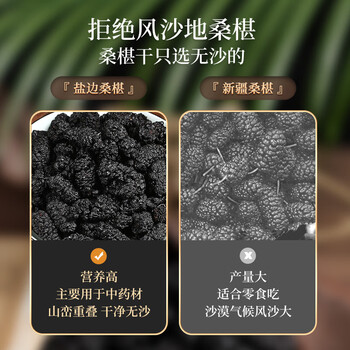 同仁堂桑葚干免洗无沙大果黑桑椹果干即食泡水泡酒桑椹子300g/罐