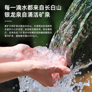 斐矿长白山饮用天然矿泉水420ml*12瓶/箱 蛇年限定深层活矿泉饮用水