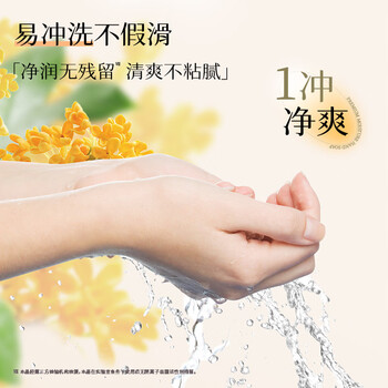 狮王（Lion）趣净泡沫抑菌洗手液月桂蔷薇450ml全家儿童适用高保湿水润洗手液