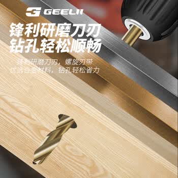 捷立（GeeLii）麻花钻头套装 铝合金打孔瓷砖金属钢铁手电钻转头13件套 56217