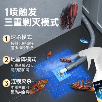 小强恢恢杀虫剂喷雾蟑螂药蚂蚁苍蝇臭虫蚊子小飞虫下水道管道12ml可兑4壶