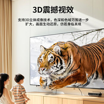 值计HDMI线2.0版 4K超高清线12米3D视频线工程级笔记本电脑显示器机顶盒电视投影仪数据连接线ZL-HB120