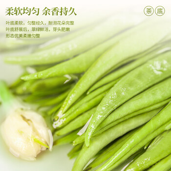 福东顺茉莉花茶 茶叶2026新茶 茉莉花飘雪特级自己喝 罐装500g 送礼