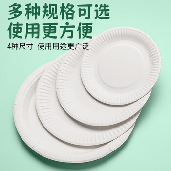 苏拉达（Surada）纸盘 手工diy绘画盘儿童幼儿园多功能纸盘教学材料一次性白色纸碟涂鸦纸盘 7寸10个套装DIY514