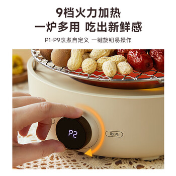 ankale围炉煮茶套装 全套户外电陶炉电茶炉烧水煮茶炉煮茶壶养生壶【全玻璃养生壶+烤网围炉】AJL-DT01