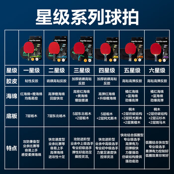 得力（deli）&安格耐特2星专用训练乒乓球拍快回球反攻基础训练球拍 横拍单拍