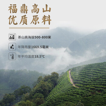 熙溪 福鼎白茶 2015年白牡丹270g(54块)  老白茶送礼茶叶礼盒装