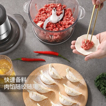 龙的（longde）绞肉机家用绞馅机绞肉绞菜酱料辅食双档电动多功能料理搅拌打肉饺子肉馅蒜蓉机 LD-KM206