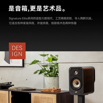 普乐之声（polk）ES20 音响 家庭影院 hifi书架音箱 Hi-res高解析度无源音箱 木质2.0发烧音箱 黑色