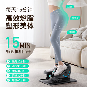 麦瑞克椭圆机迷你踏步机站坐两用健身器材MR-E25B1