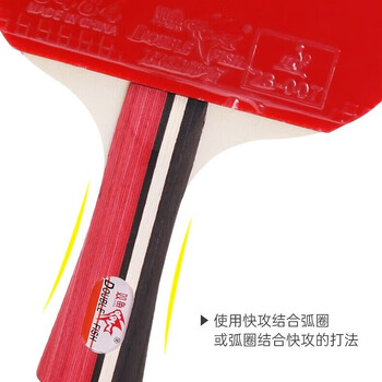 双鱼 乒乓球拍直拍娱乐初学者学生训练乒乓球两支套拍 356B-直拍