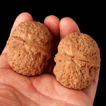 铁核桃文玩核桃品牌及商品- 京东