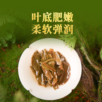 下关沱茶茶叶普洱茶生茶十八年陈料 2024年秘境荒野古树小铁饼160g