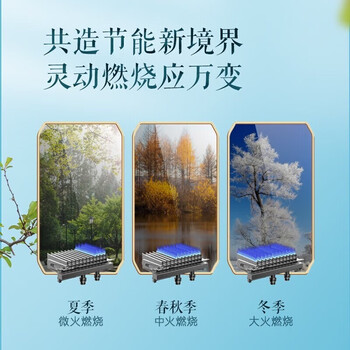 万家乐壁挂炉 家用洗浴采暖两用 燃气热水器暖气片地暖小体积三段燃烧天然气【企采购】/L1PB26-24BW3
