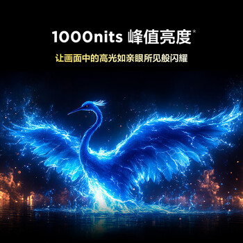 雷鸟（FFALCON）鹤6 25款 65英寸 MiniLED电视 无开机广告 一级能效智能电视机 288Hz 4+64GB  65S595C