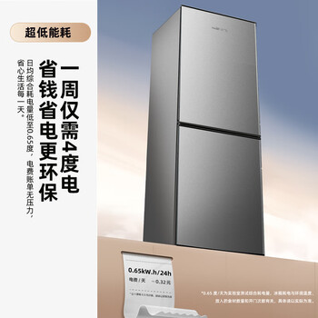新飞175L两门 小型家用租房节能低音冰箱BCD-175K2CT