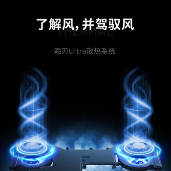 联想（Lenovo）拯救者Y9000P图形渲染笔记本电脑（I9-14900HX 64G 4T SSD RTX4090 2.5K屏）定制