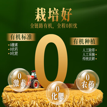 西麦有机胚芽燕麦片桶装800g 家庭装高蛋白质营养早餐0添加蔗糖 西麦有机胚芽燕麦片桶装800g 家庭装高蛋白质营养早餐0添加蔗糖