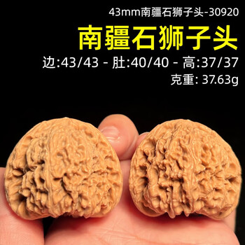 大粗筋狮子头 43尺 高端老树文玩核桃大粗筋霸王龙狮子头43尺寸精卡