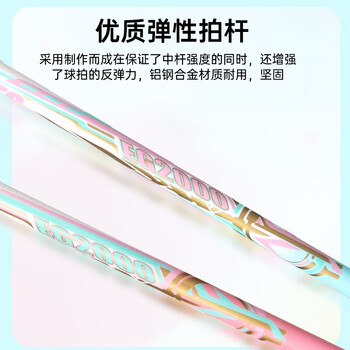 红双喜（DHS）羽毛球拍对拍套装(含手胶/球)深凹槽防磨升级训练羽拍   