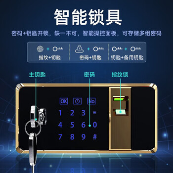 奈高（NAIGAO）保密柜文件柜办公铁皮柜国家保密认证资料档案柜电子指纹锁密码柜