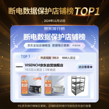 VISENCH威神BR1000CH ups不间断电源1000VA/600W 办公电脑ups电源稳压后备电源 家用商用停电应急备用电源