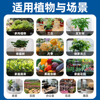 Dr.Riley德国原液花卉杀虫剂植物蚜虫呋虫胺喷雾土壤绿植月季花草红黑蜘蛛