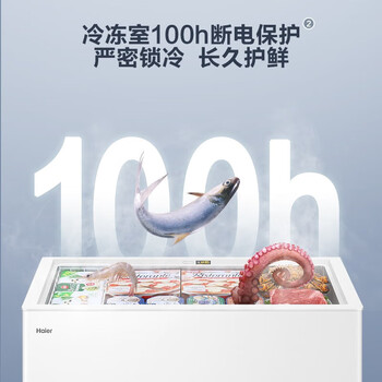 海尔（Haier）300升一级能效低霜商用家用冰柜大容量冷藏柜冷冻柜小冰柜家用小型冰箱冷柜BC/BD-300GHD