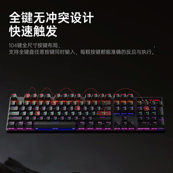 雷柏（Rapoo）V500PRO 有线背光机械键盘 104键全尺寸游戏电竞笔记本电脑多媒体办公吃鸡全键无冲键盘 青轴