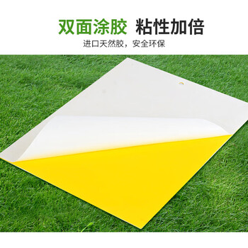 坤宁王粘虫板黄板诱虫板灭苍蝇贴双面果蝇纸灭蚊虫小飞虫诱捕神器50张