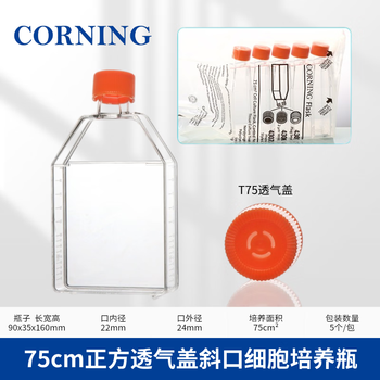 康宁 75cm正方透气盖斜口细胞培养瓶矩形斜颈瓶密封组织样品瓶实验室 【灭菌】75cm透气盖，5个/包 430641