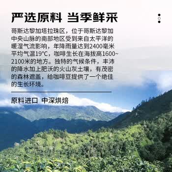 甪家嘴鹿家嘴哥斯达黎加塔拉珠SHB精品意式咖啡豆美式中深烘200g