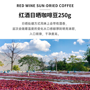 鹿家嘴云南小粒咖啡普洱咖啡红酒日晒精品手冲咖啡豆250g阿拉比卡
