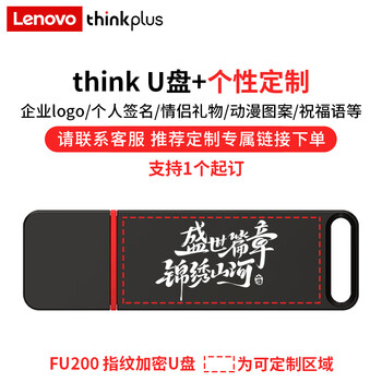 ThinkPlus联想 256GB USB3.2指纹加密U盘 FU200系列 防泄密商务学习办公优盘