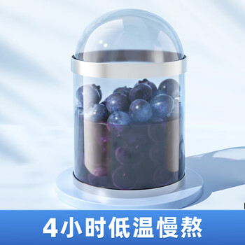 丙田 蓝莓果酱220g 0脂肪果肉无添加蔗糖 烘焙面包涂抹水果酱儿童冲饮