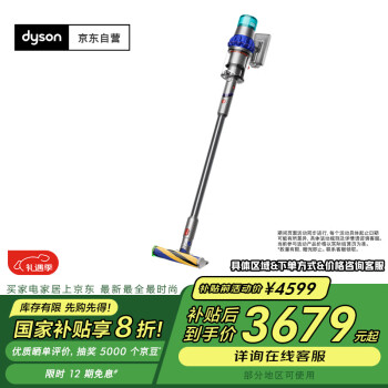 Dyson V7 Animal + 吸尘器| eBay