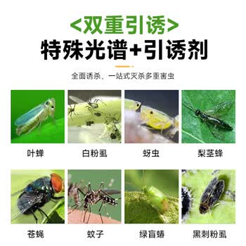 巨奇严选灭苍蝇神器家用小飞虫灭杀神器苍蝇贴强力粘蝇纸 1个装