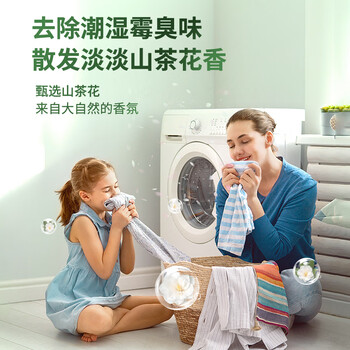EVERSHINE晴天大白洗衣机清洗剂30g*12强力除垢杀菌滚筒洗衣机槽家庭清洁剂