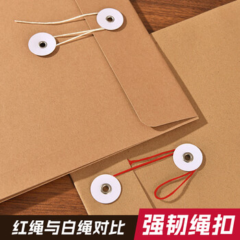 三益档案档案袋牛皮纸A4加厚无酸纸文件办公标书合同资料袋【6cm*210g*10个】进口无酸纸 1808-7