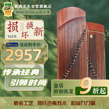 敦煌小古筝价格报价行情- 京东