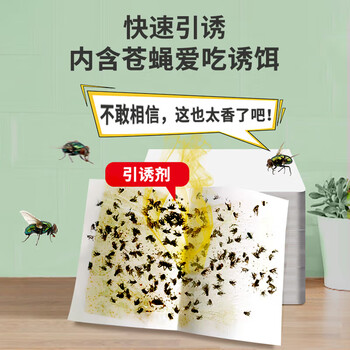 巨奇猫山王飞虫诱捕器飞蛾陷阱家用灭飞蛾蚋蛾蠓米面蛾子粘板10片