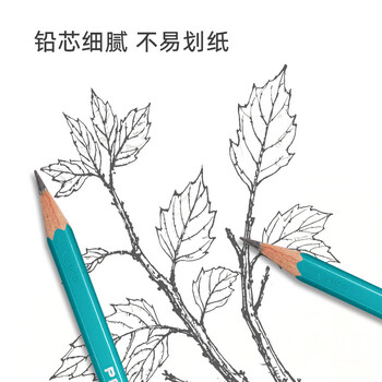 霹雳马（PRISMACOLOR）绿松石石墨铅笔2B学生素描艺术写生手绘美国三福霹雳马美术写生