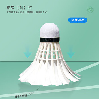 薰风（KUMPOO）挑战9羽毛球 鹅毛球耐打飞行稳定熏风专业训练比赛用球12只装