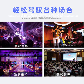 QIASHENG无线话筒一拖二调频U段家用唱歌舞台演出会议专业麦克风